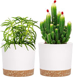 QCQHDU 5 inch Plant Pot, 2 Pack Planters by QCQHDU