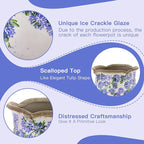 Ceramic-Planters-for-Indoor-Plants - Image 6