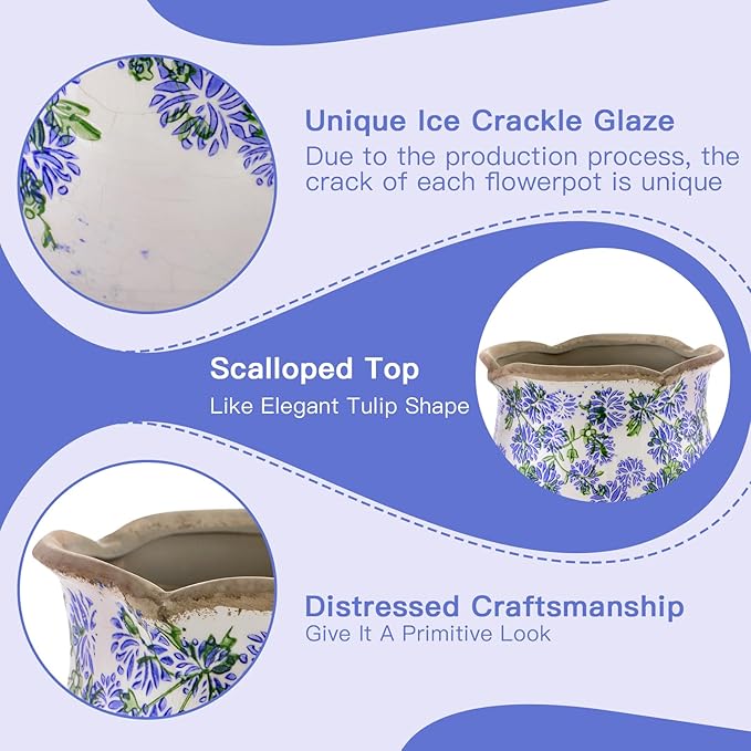 Ceramic-Planters-for-Indoor-Plants - Image 6