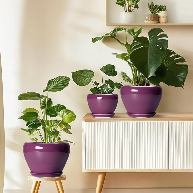 Ceramic Planter - Image 8