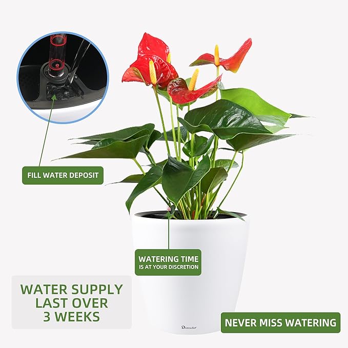 Dexceder 18x17 Self Watering Planter - Image 5