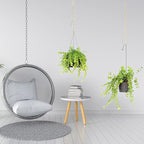 4 Pcs Hanging Plant Extender Macrame Plant Hanger Extender Large Hanging Rope - Image 6