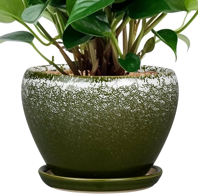 6 Inch Plant Pot by Ceramicfor