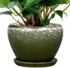 6 Inch Plant Pot by Ceramicfor