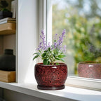 SQOWL Ceramic Pot for Plants - Image 2