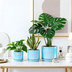 EFISPSS Ceramic Planter 4+5+6 Inch Ceramic Flower pots - Image 5