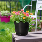 8 Inch Plant Pot - Image 4