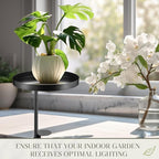 2 Pcs Window Sill Plant Shelf 7.9''D x 14.2''H Adjustable Window Shelf - Image 5
