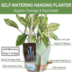 Larege Hanging Planters with Macrame Plant Hangers - Image 4