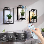 Shineled Wall Plant Holder, Indoor Plants Holders - Image 5
