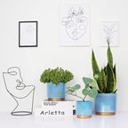Gepege Ceramic Pots for Plants, Rainbow Pearl Glaze Planter - Image 6
