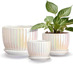Ton Sin White Plant Pots, Pearl Gold Ceramic Flower Pots 4"+5"+6" Inch Indoor by TonSin