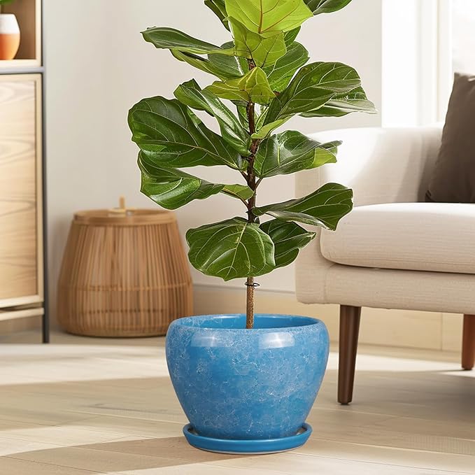 Ceramic Planter - Image 4