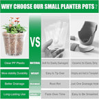 BTPLASTIK 50 Pack 2.5 Inch Clear Nursery Pots - Image 4