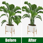 FEED GARDEN 6 Pack Plant Support Stakes, Peony Cages and Supports, Metal Garden - Image 4