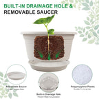 6 Pack 10 inch Plant Pot, Outdoor Pots - Image 3
