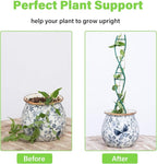Indoor Plant Trellis - Image 3