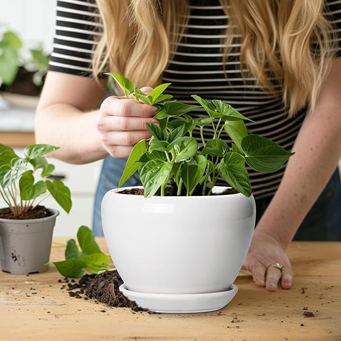 Ceramic Pot for Plants - Image 6