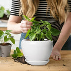 Ceramic Pot for Plants - Image 6