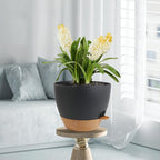 12 inch Large Self Watering Pots, Plant Pots - Image 7