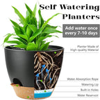 4-Pack Plant Pots with Drainage 6.5/6/5.5/5 Inch, Self Watering Pots - Image 3