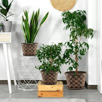 16 Inch Planter Pots for Plants, Plastic Large Flower Pots Indoor Outdoor - Image 6