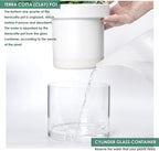 Phoenix Vine 6 Inch 4 Inch Self Watering Planter - Image 6