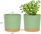 QCQHDU 5 inch Plant Pot, 2 Pack Planters - Image 2