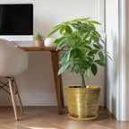 Ceramic Pots for Plants - Image 3