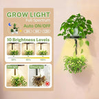iDavosic.ly Wall Plant Holder - Image 3