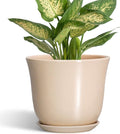 Ceramic Pots for Plants by SUNPOTFOR