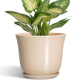 Ceramic Pots for Plants by SUNPOTFOR