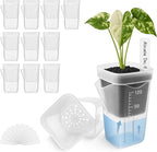 12 Pack 2" Mini Self Watering Pots by Vandorelle