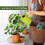 Watering Can Indoor Plants, 35oz Small Stainless Steel Metal Watering Can - Image 2