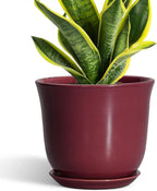 Ceramic Planter by SUNPOTFOR