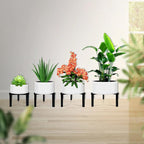 4 Pcs Three Legs Adjustable Metal Plant Stand - Image 2