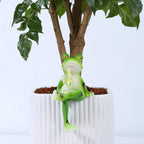 Miniature Frog Figurines Plant Decorations - Image 4