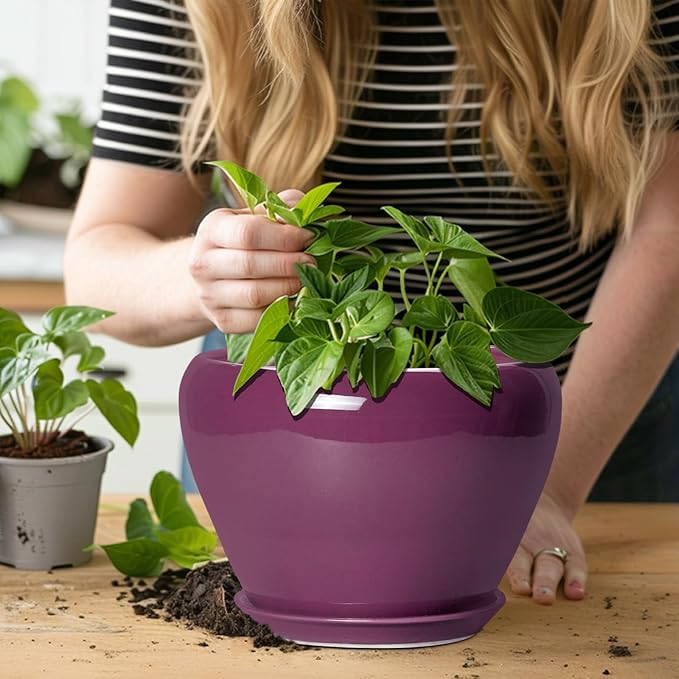 Ceramic Planter - Image 5