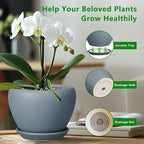 Ceramic Pot for Plants - Image 6