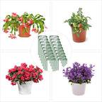 36Packs Plant Support Stake Half Round Plant Support - Image 7