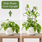Indoor Plant Trellis for Climbing Plants, Stackable Garden Trellis for Potted - Image 3