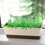 Window Box Planter with Tray - Image 7