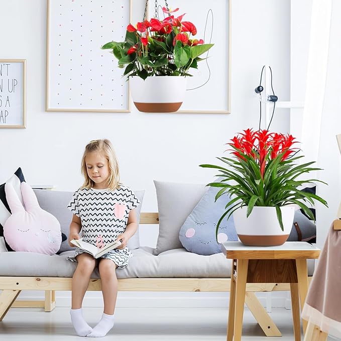 Hanging Planters for Indoor Plants - Image 3