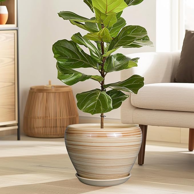Ceramic Pot for Plant 10 Inch - Image 2