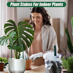 Uzoli 12 Pack Plant Support Stakes Sets - Image 6