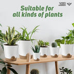 Indoor Self Watering Planters - Image 7