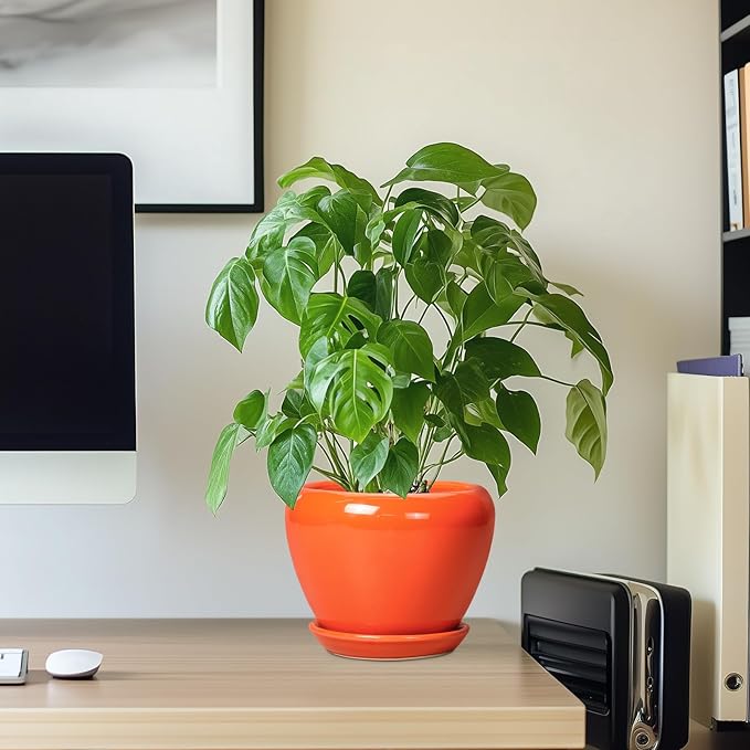 Ceramic Plant Pot 6 Inch - Image 7