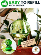 3pcs 16 Oz Plant Watering Globes - Image 3