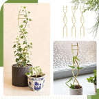 3 Pcs 15.75 Inch Indoor Plant Trellis - Image 4