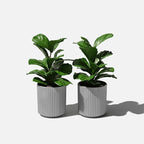 Veradek Demi Series Round Planter - Image 9